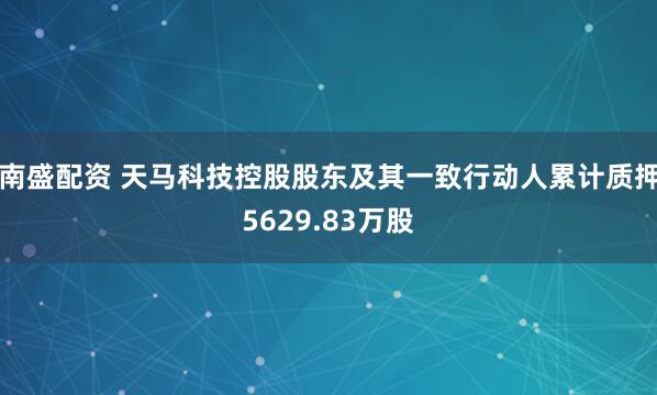 南盛配资 天马科技控股股东及其一致行动人累计质押5629.83万股