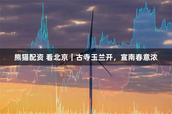 熊猫配资 看北京｜古寺玉兰开，宣南春意浓